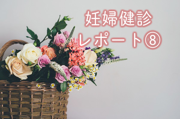 f:id:Mariko154:20190108081556j:plain f:id:Mariko154:20190108081556j:plain
