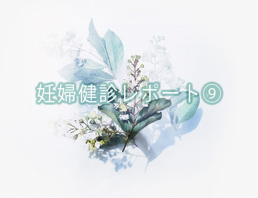 f:id:Mariko154:20190113161536j:plain f:id:Mariko154:20190113161536j:plain