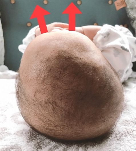 f:id:Mariko154:20190815151521j:plain f:id:Mariko154:20190815151521j:plain