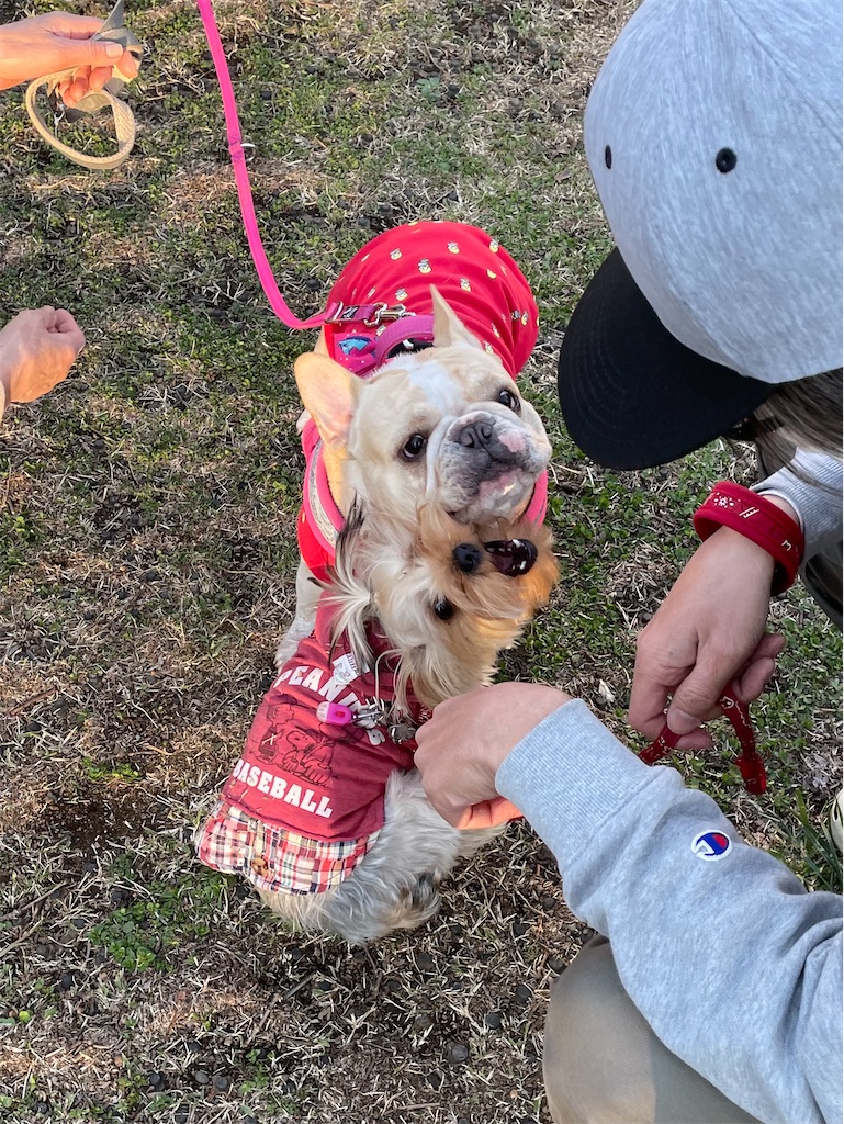 f:id:Marimotan:20210315095718j:plain