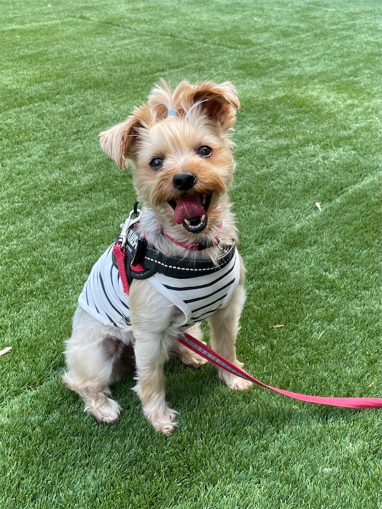 f:id:Marimotan:20250705204355j:image f:id:Marimotan:20250705204355j:image