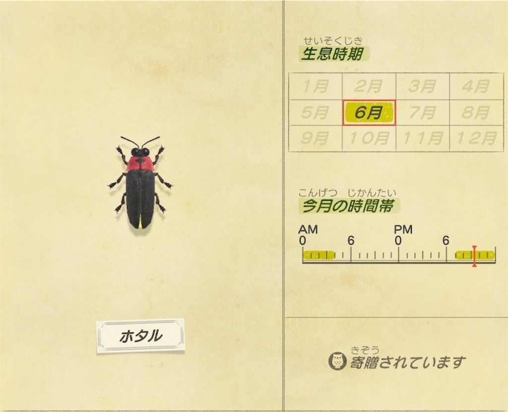 あつ森で6月の虫を簡単に捕獲する方法 金策 謎解きとゲームのブログ