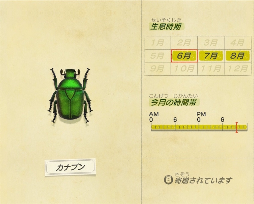 あつ森で6月の虫を簡単に捕獲する方法 金策 謎解きとゲームのブログ