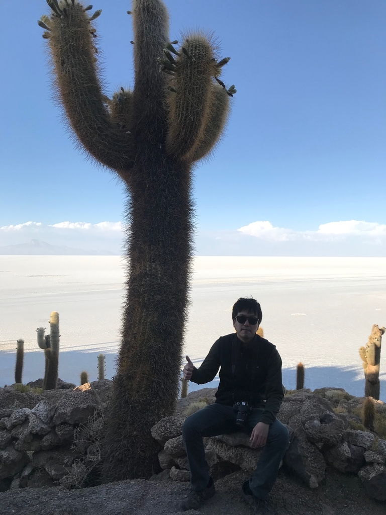 f:id:MarkInada:20190209132009j:plain