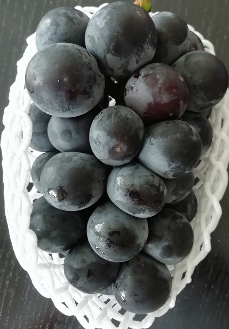 f:id:Marskoin:20190902214710j:plain f:id:Marskoin:20190902214710j:plain