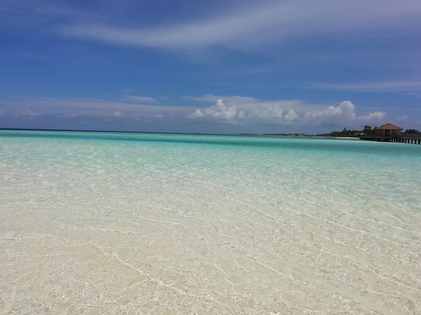 f:id:Marskoin:20191029160921j:plain f:id:Marskoin:20191029160921j:plain
