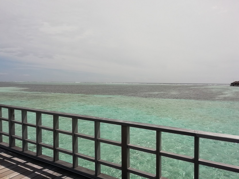 f:id:Marskoin:20191104141629j:plain f:id:Marskoin:20191104141629j:plain