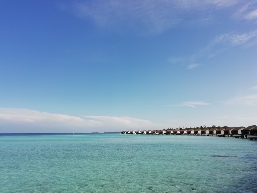f:id:Marskoin:20191111234207j:plain f:id:Marskoin:20191111234207j:plain