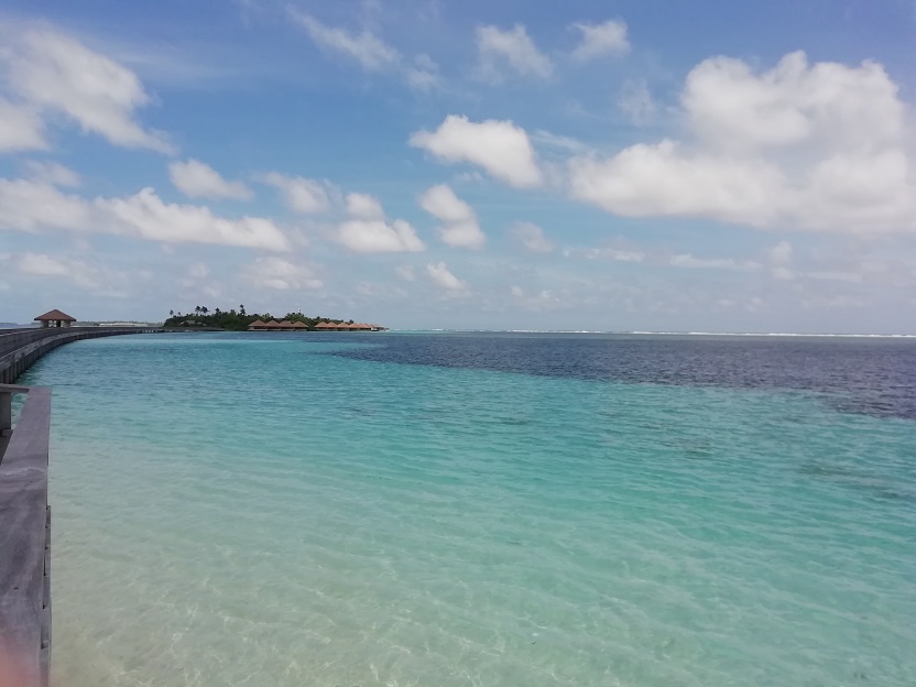 f:id:Marskoin:20191112145729j:plain f:id:Marskoin:20191112145729j:plain