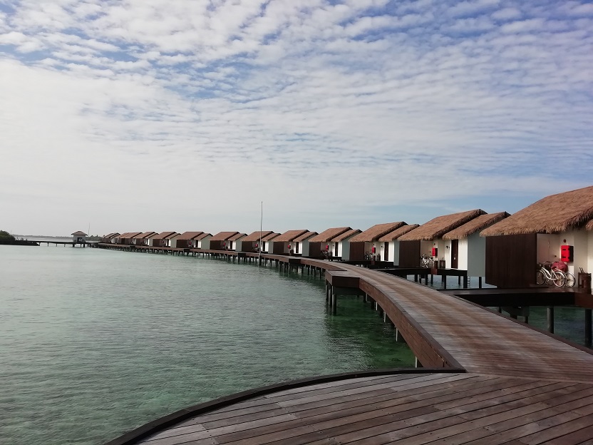 f:id:Marskoin:20191112153651j:plain f:id:Marskoin:20191112153651j:plain