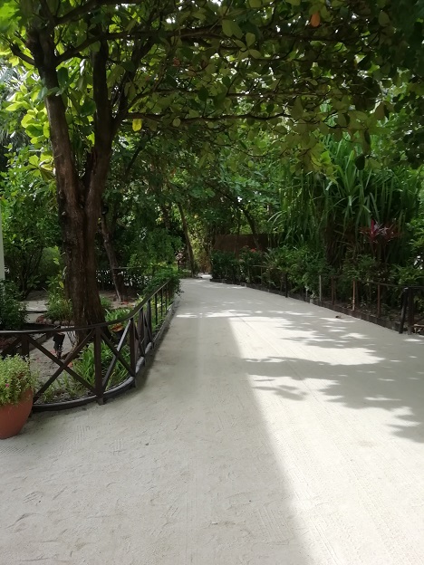 f:id:Marskoin:20191118233445j:plain f:id:Marskoin:20191118233445j:plain