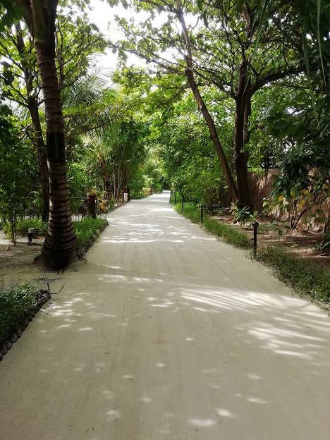 f:id:Marskoin:20191118233458j:plain f:id:Marskoin:20191118233458j:plain