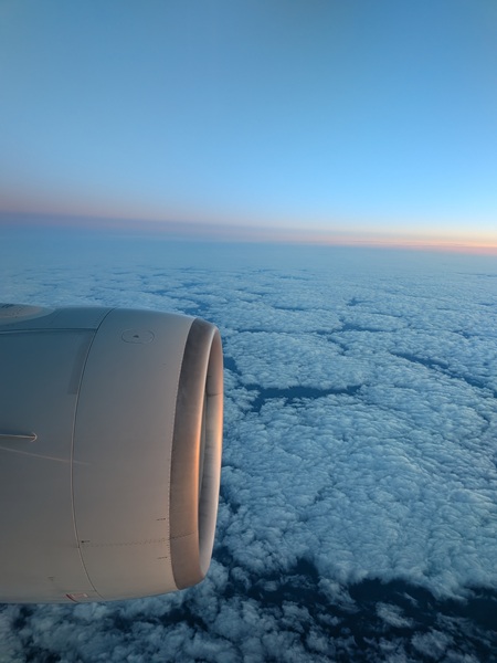 2025-2026年 冬の思い出 シンガポール航空で快適に帰国 - 寝当直医の