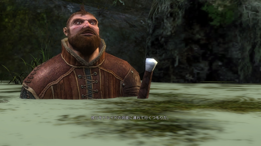 The Witcher プレイ日記 第5章その2 エンディング目前 だが Hail And Farewell