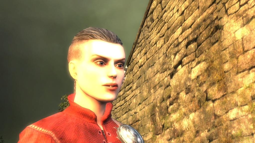 The Witcher プレイ日記 第5章その2 エンディング目前 だが Hail And Farewell