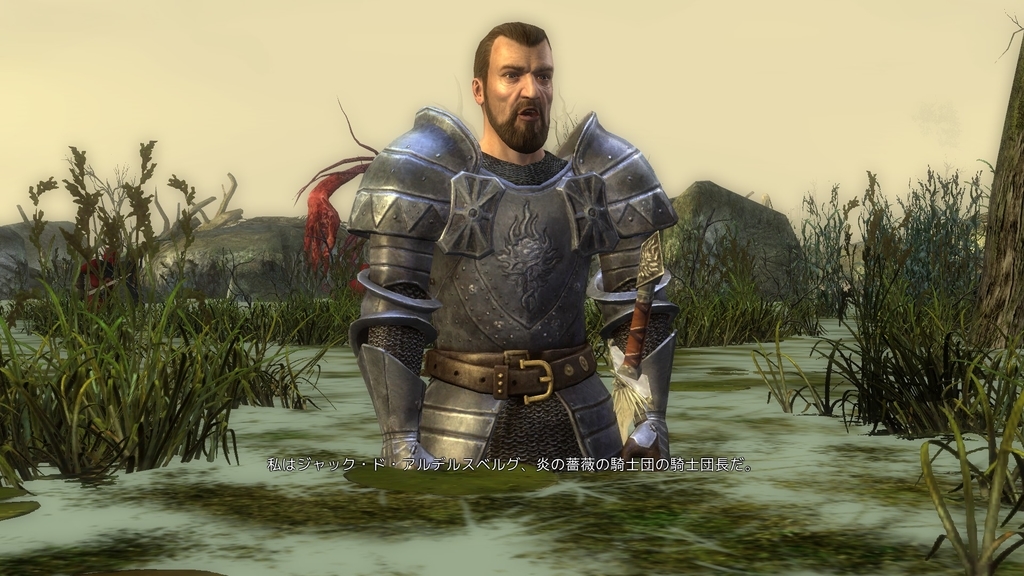 The Witcher プレイ日記 第5章その2 エンディング目前 だが Hail And Farewell
