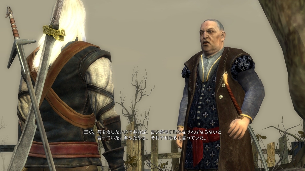 The Witcher プレイ日記 第5章その2 エンディング目前 だが Hail And Farewell