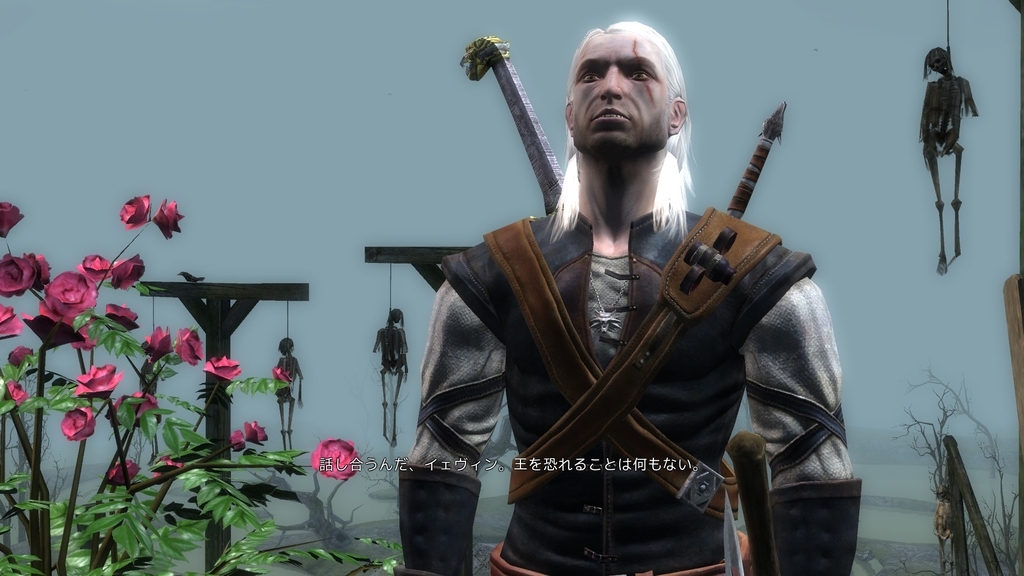 The Witcher プレイ日記 第5章その2 エンディング目前 だが Hail And Farewell