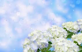 f:id:Martube:20210616185254j:plain