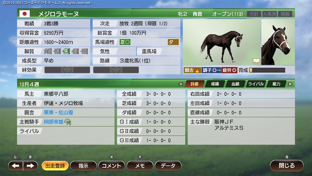 f:id:Marvelous_Sewer:20210417084621j:image