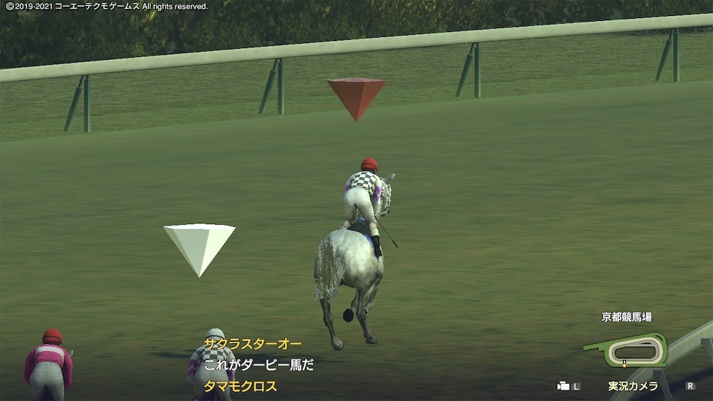 f:id:Marvelous_Sewer:20210604142153j:image