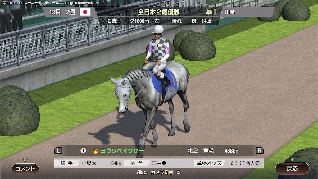f:id:Marvelous_Sewer:20210604142303j:image