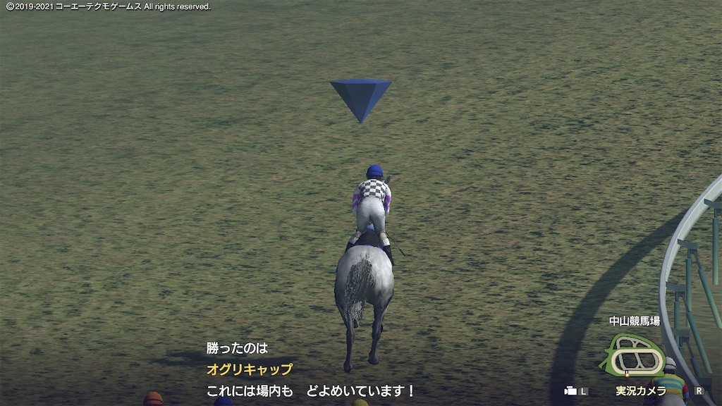 f:id:Marvelous_Sewer:20210604142459j:image