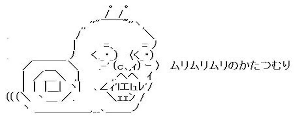f:id:Marvelous_Sewer:20210715023408j:image
