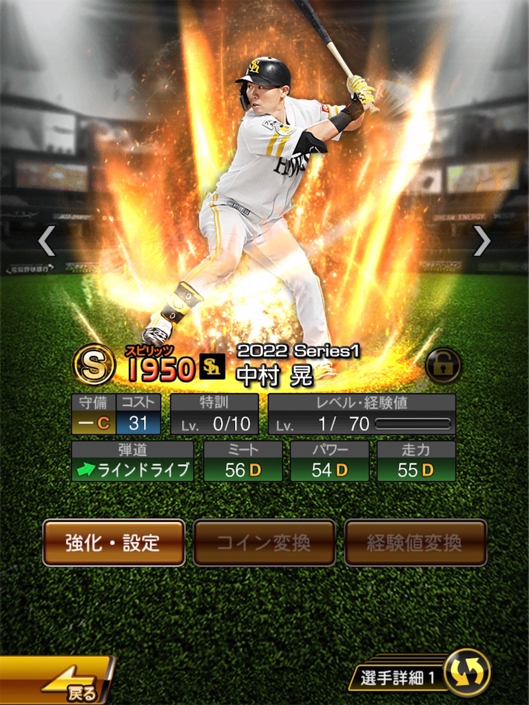 f:id:Marvelous_Sewer:20221130014602j:image