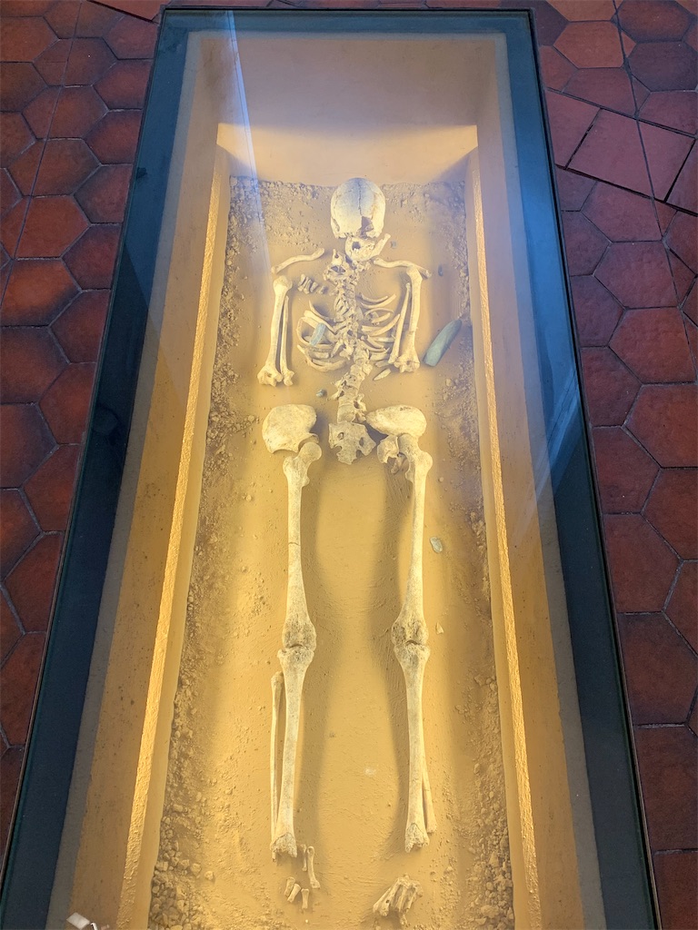 f:id:MasaFra:20210717014057j:image f:id:MasaFra:20210717014057j:image