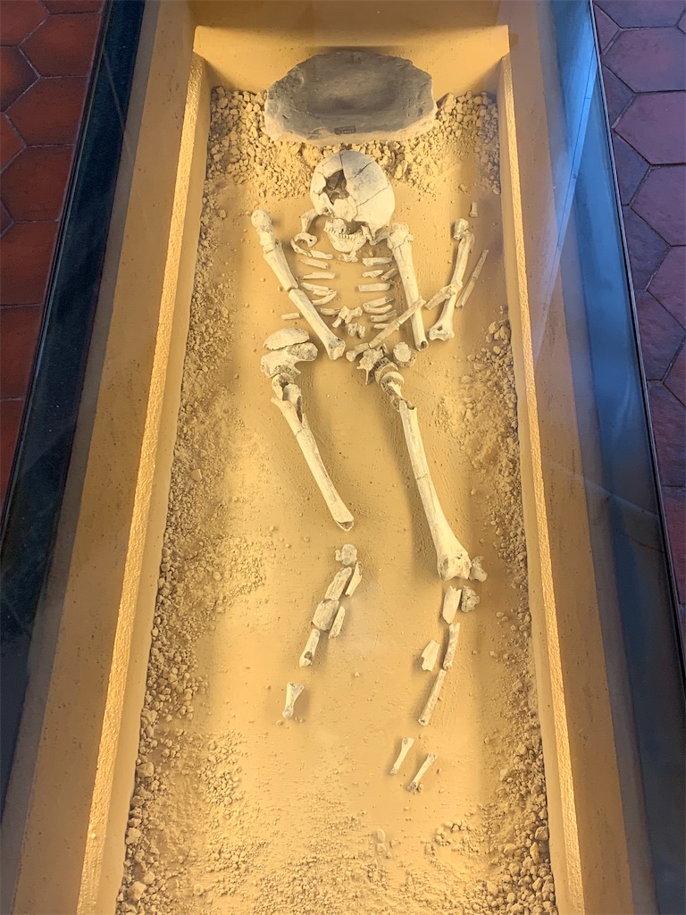 f:id:MasaFra:20210717014135j:image f:id:MasaFra:20210717014135j:image