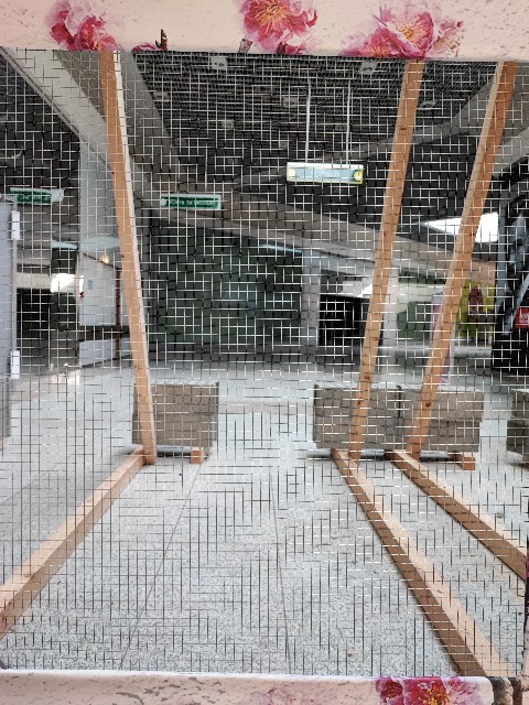 f:id:MasaFra:20220828035055j:image f:id:MasaFra:20220828035055j:image