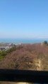  20120408彦根城