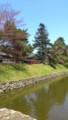  20120408彦根城