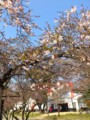  20120408彦根城