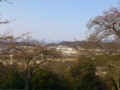  20120408彦根城