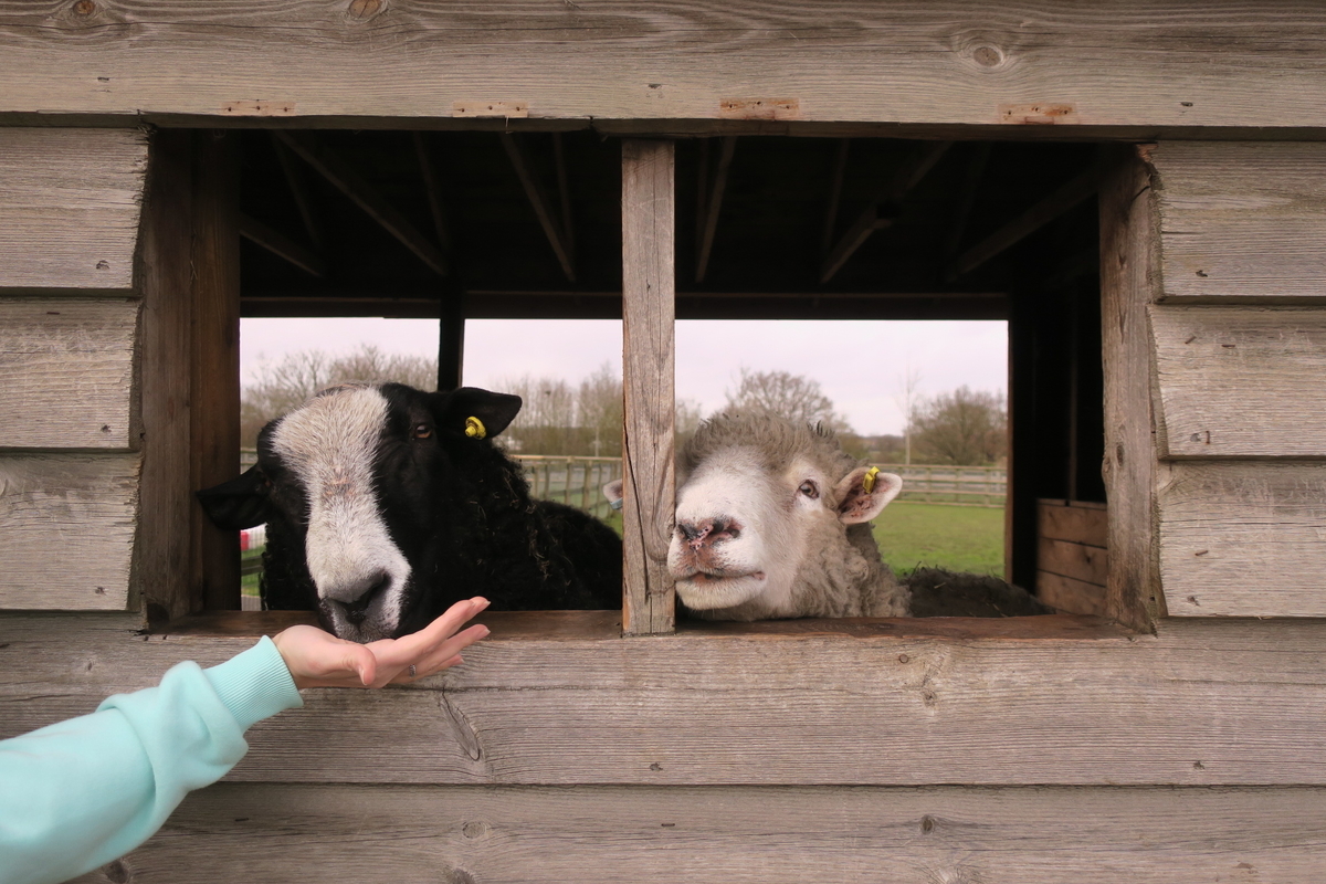 f:id:MasaOmi:20200307223409j:plain