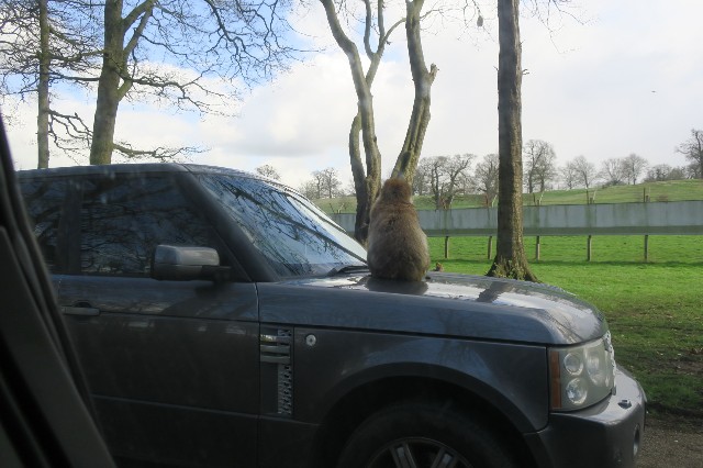 f:id:MasaOmi:20200313161449j:image