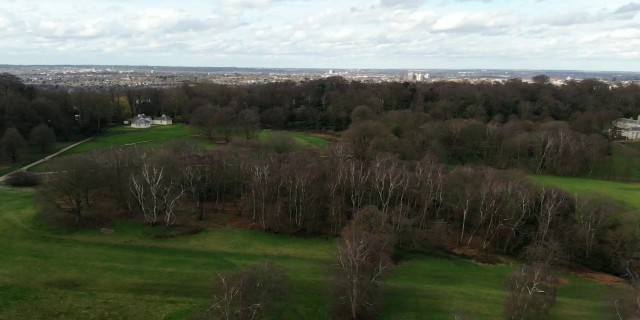 f:id:MasaOmi:20200313163814j:image