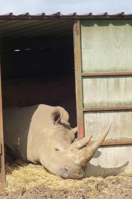 f:id:MasaOmi:20200315164155j:plain