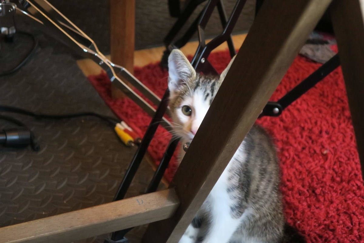 f:id:MasaOmi:20200718061530j:plain