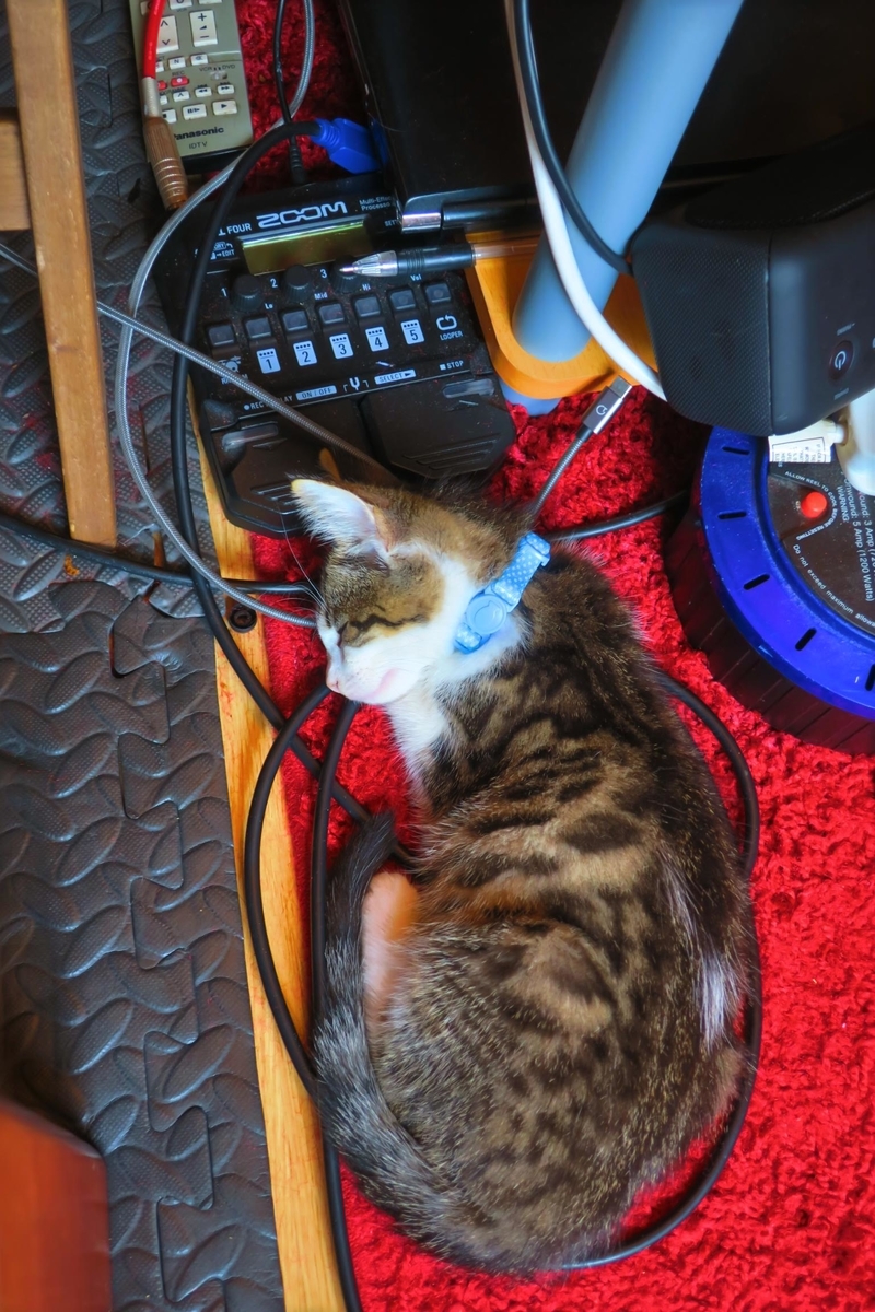 f:id:MasaOmi:20200718061538j:plain