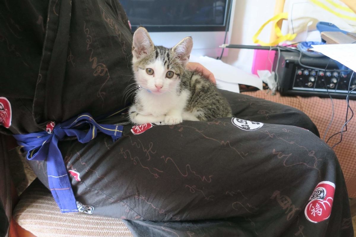 f:id:MasaOmi:20200718061544j:plain