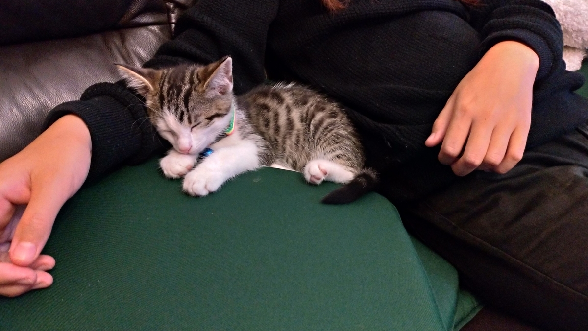 f:id:MasaOmi:20200718061657j:plain