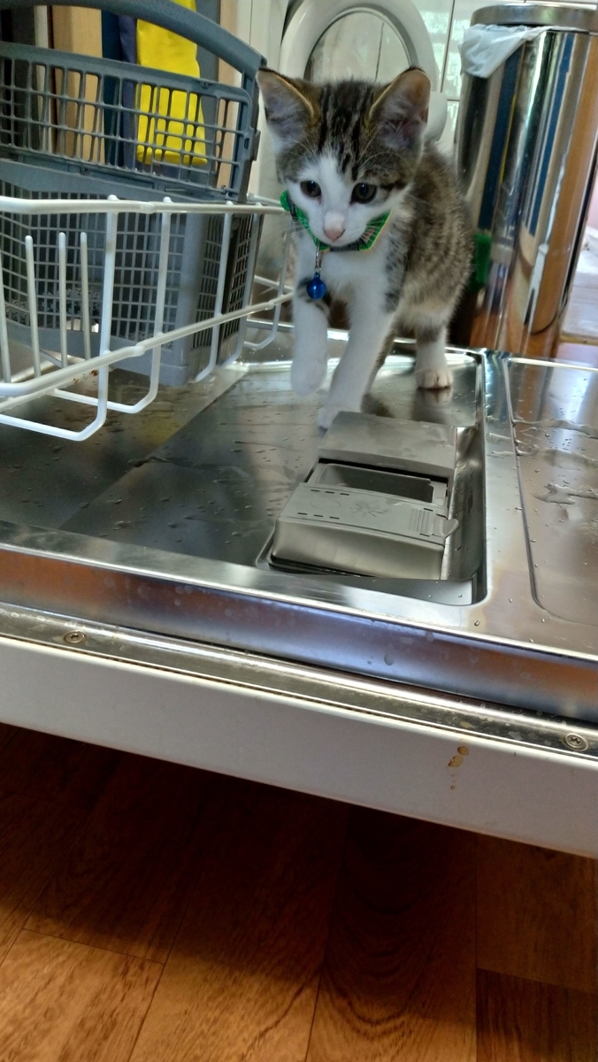 f:id:MasaOmi:20200718061717j:plain