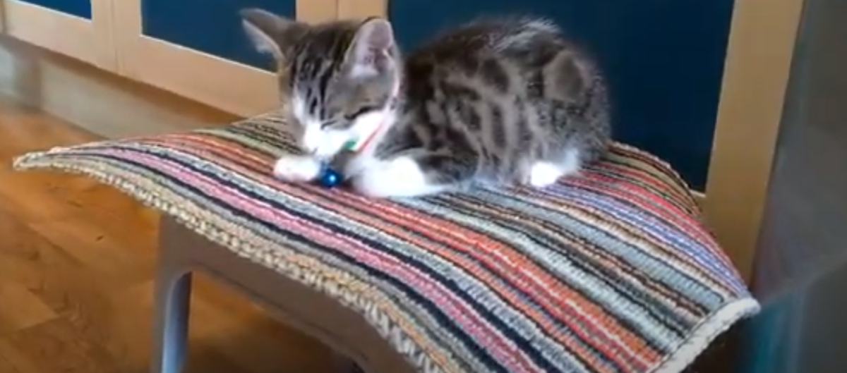 f:id:MasaOmi:20200718064622p:plain