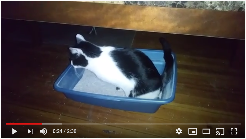 f:id:MasaOmi:20200718070100p:plain