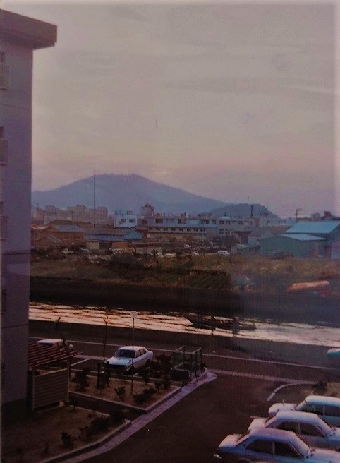 f:id:Masa_S:20200625195846j:plain f:id:Masa_S:20200625195846j:plain