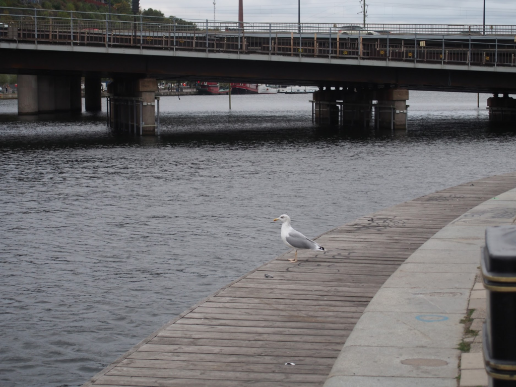 f:id:Masa_science:20180416004358p:plain f:id:Masa_science:20180416004358p:plain