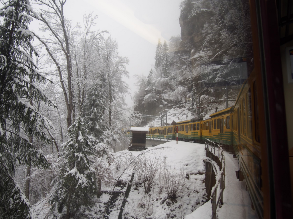 f:id:Masa_science:20180429002045p:plain f:id:Masa_science:20180429002045p:plain